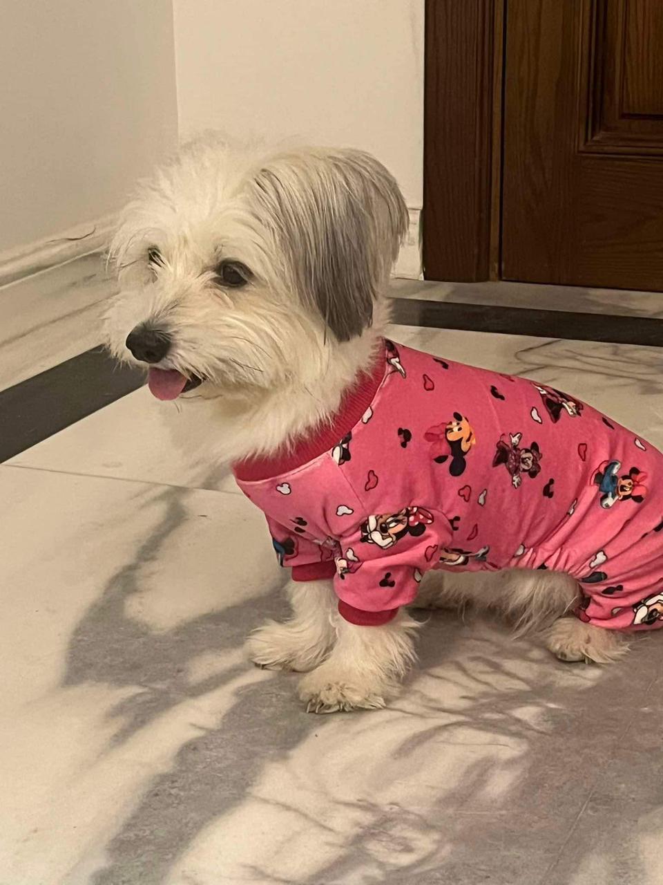 Minnie Pyjama