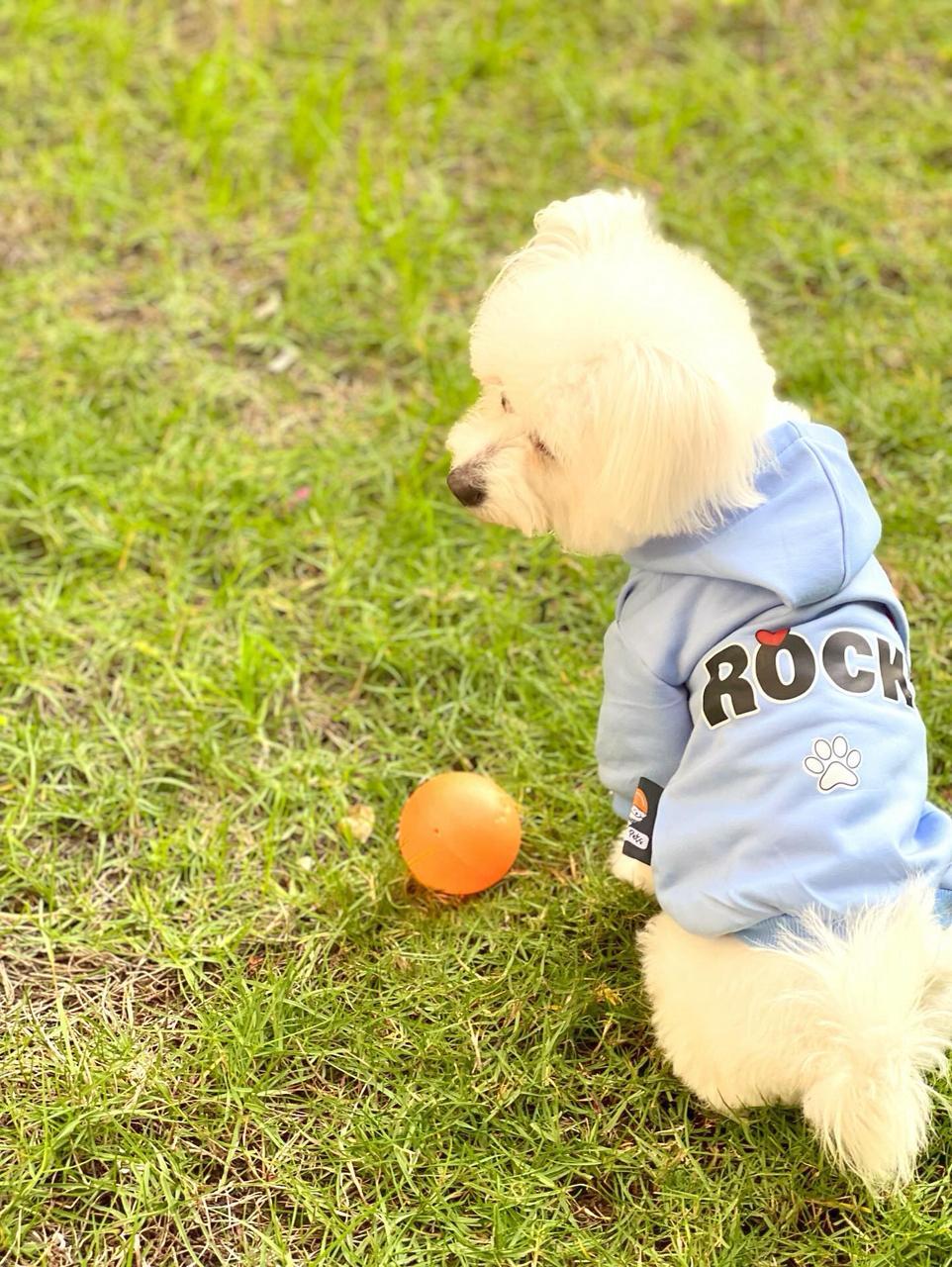 Personalized Dog Hoodie