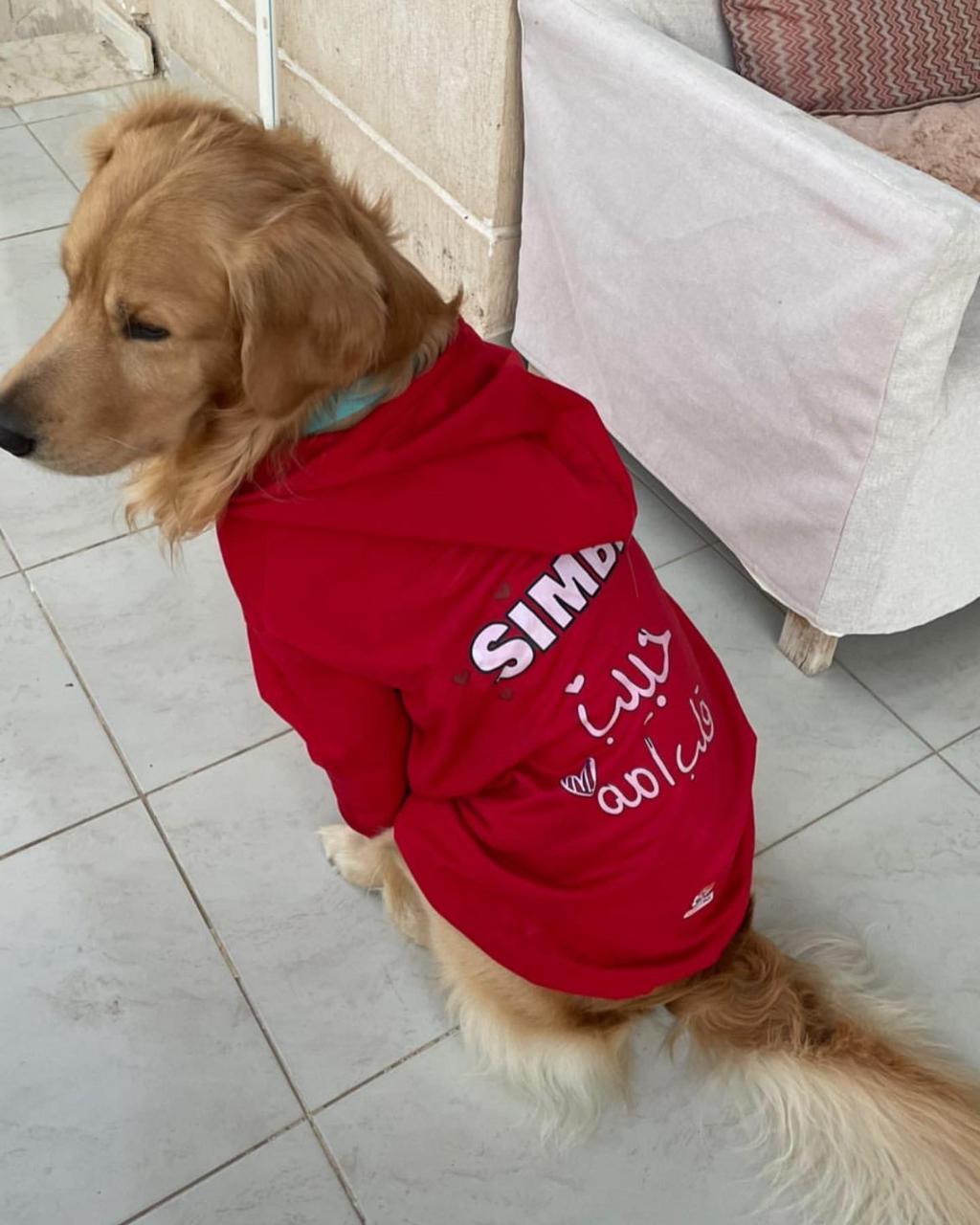 Personalized Dog Hoodie