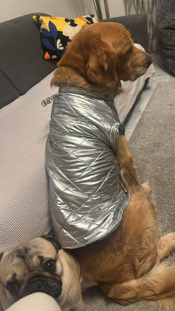 Waterproof Puff Vest