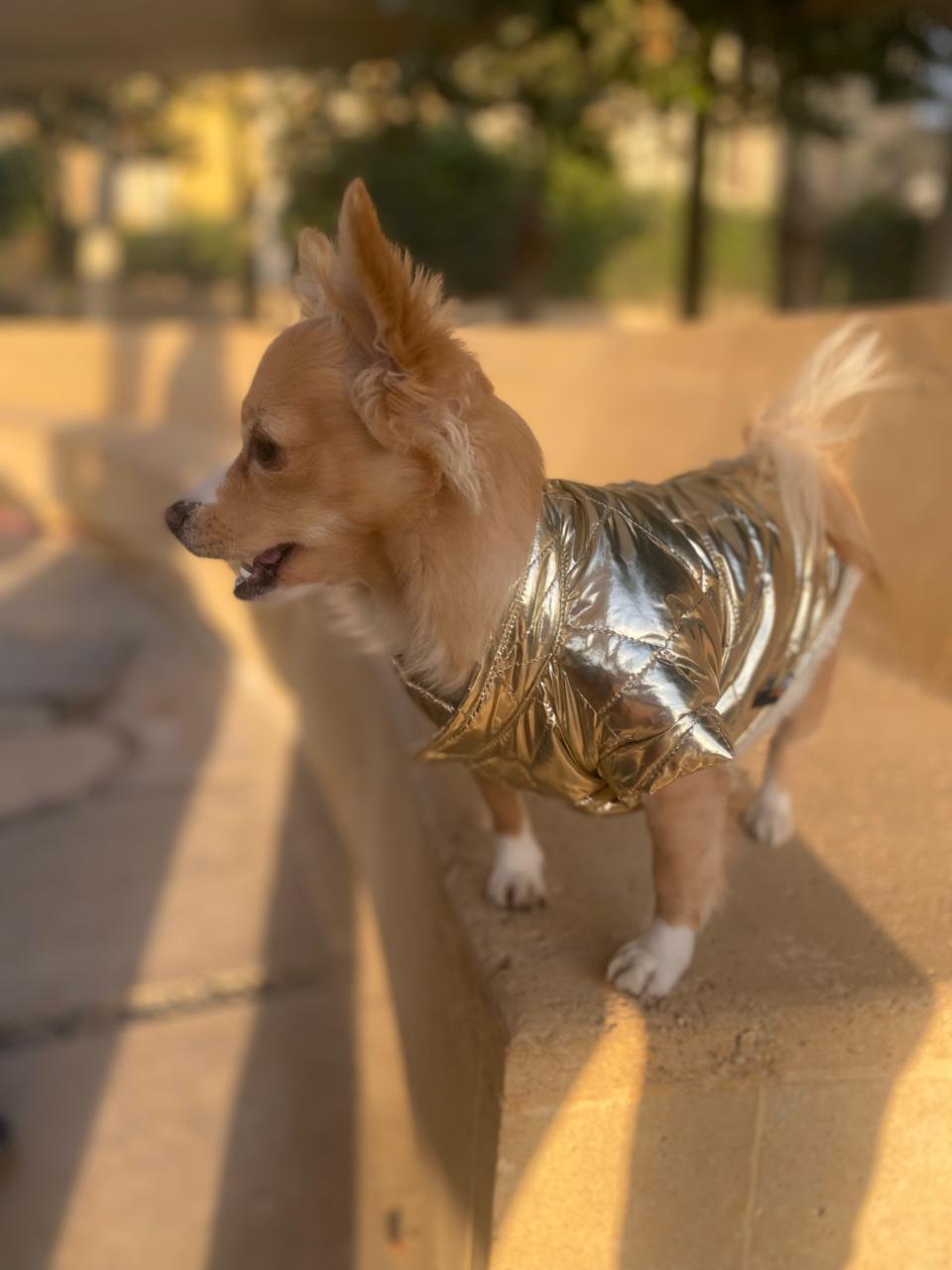 Waterproof Puff Vest