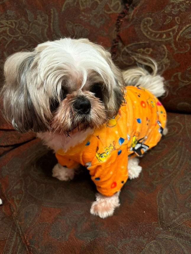Tweety Pyjama