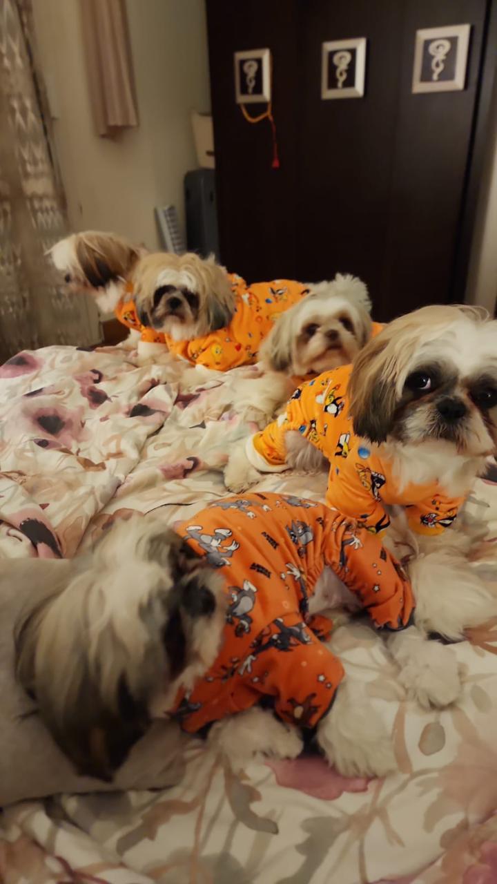Tweety Pyjama
