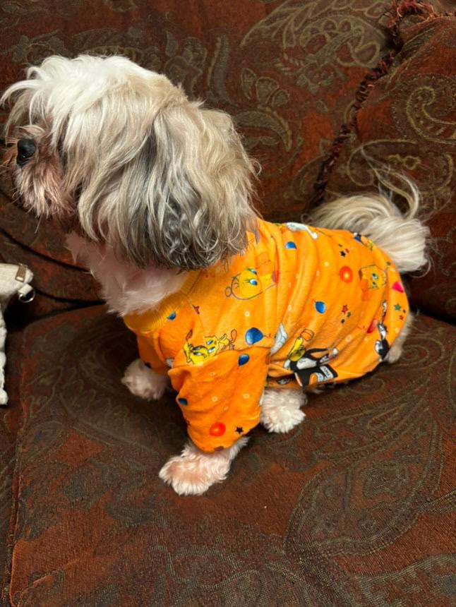 Tweety Pyjama
