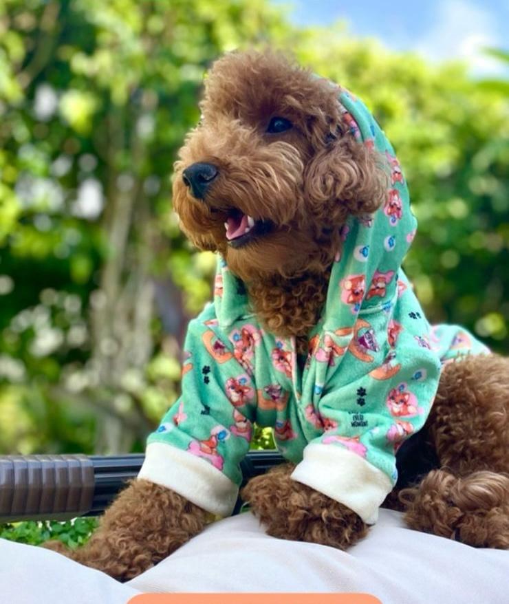 Cozy - Charming Pyjama