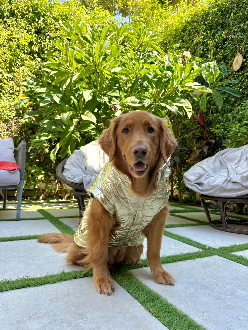 Waterproof Puff Vest