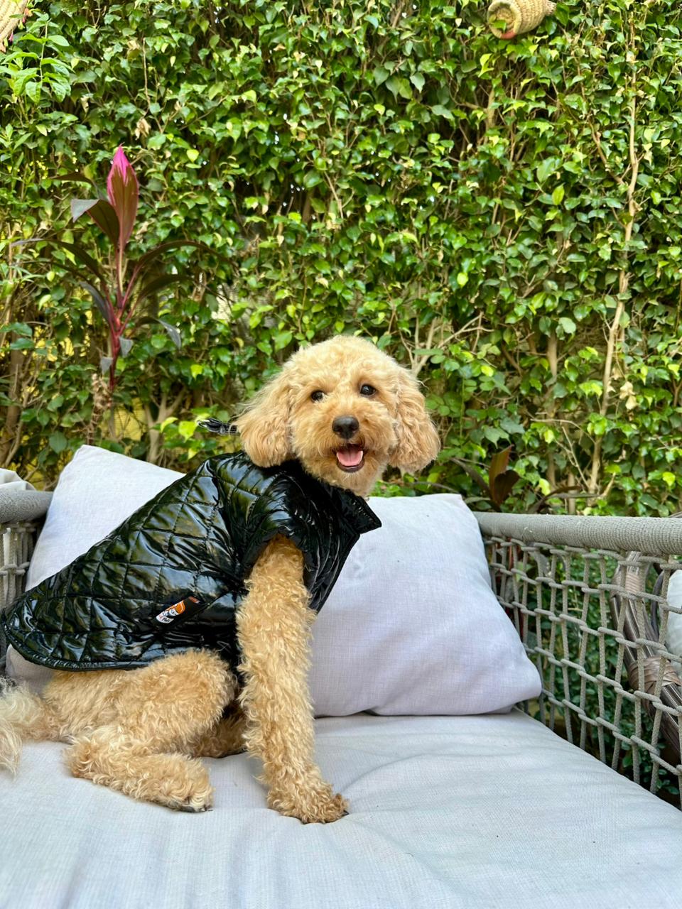 Waterproof Puff Vest