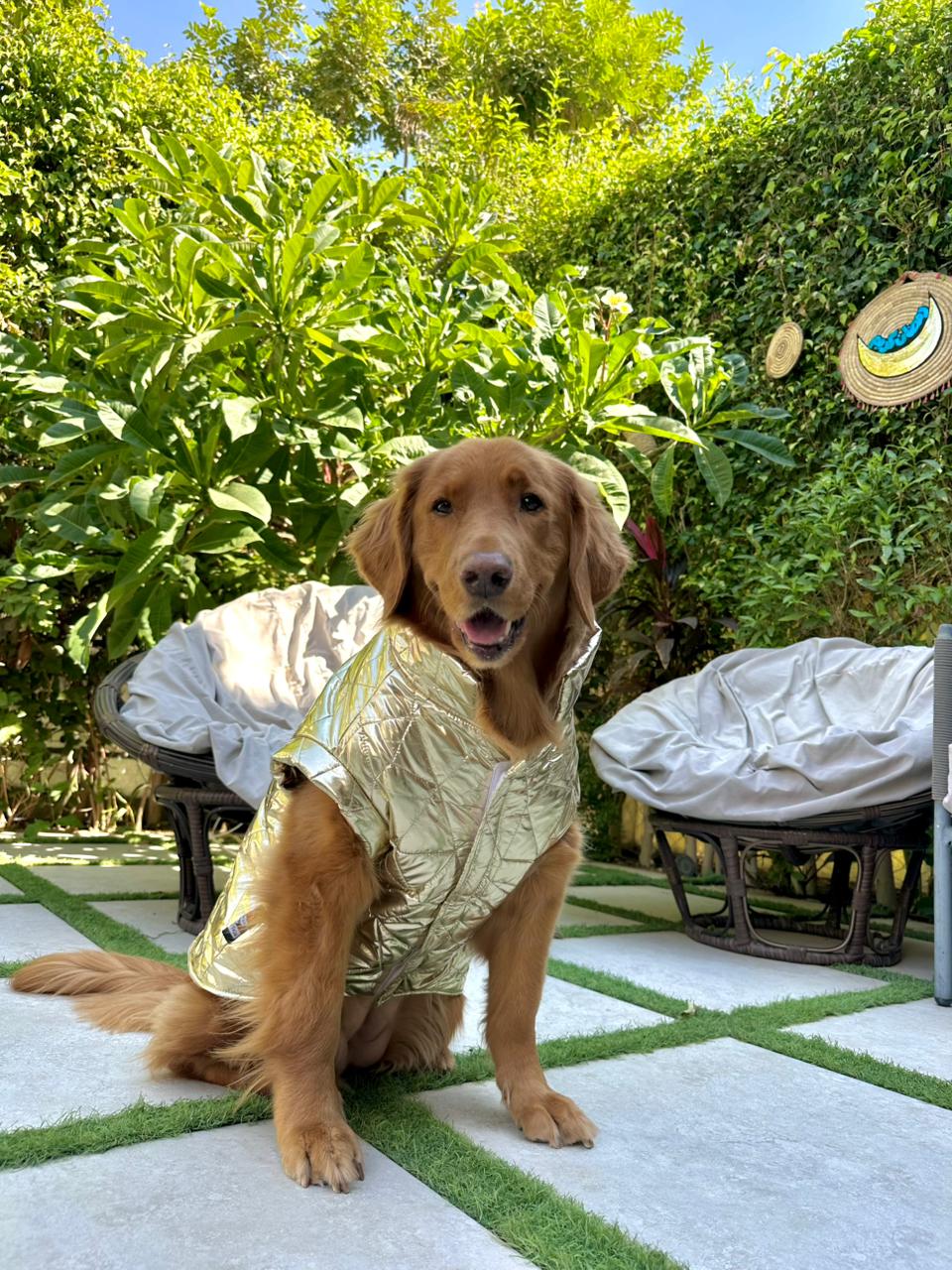 Waterproof Puff Vest