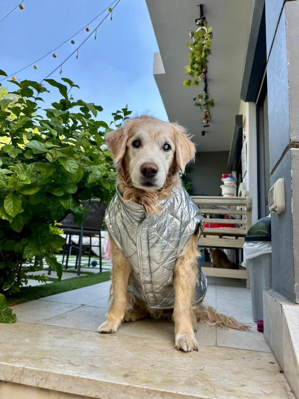 Waterproof Puff Vest