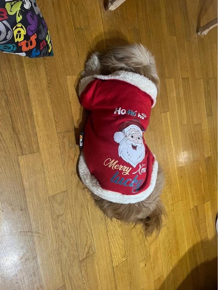 Merry Xmas