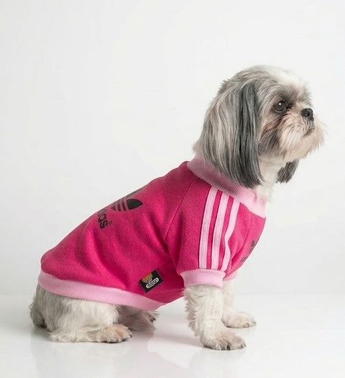 Adidas Sporty T-shirt