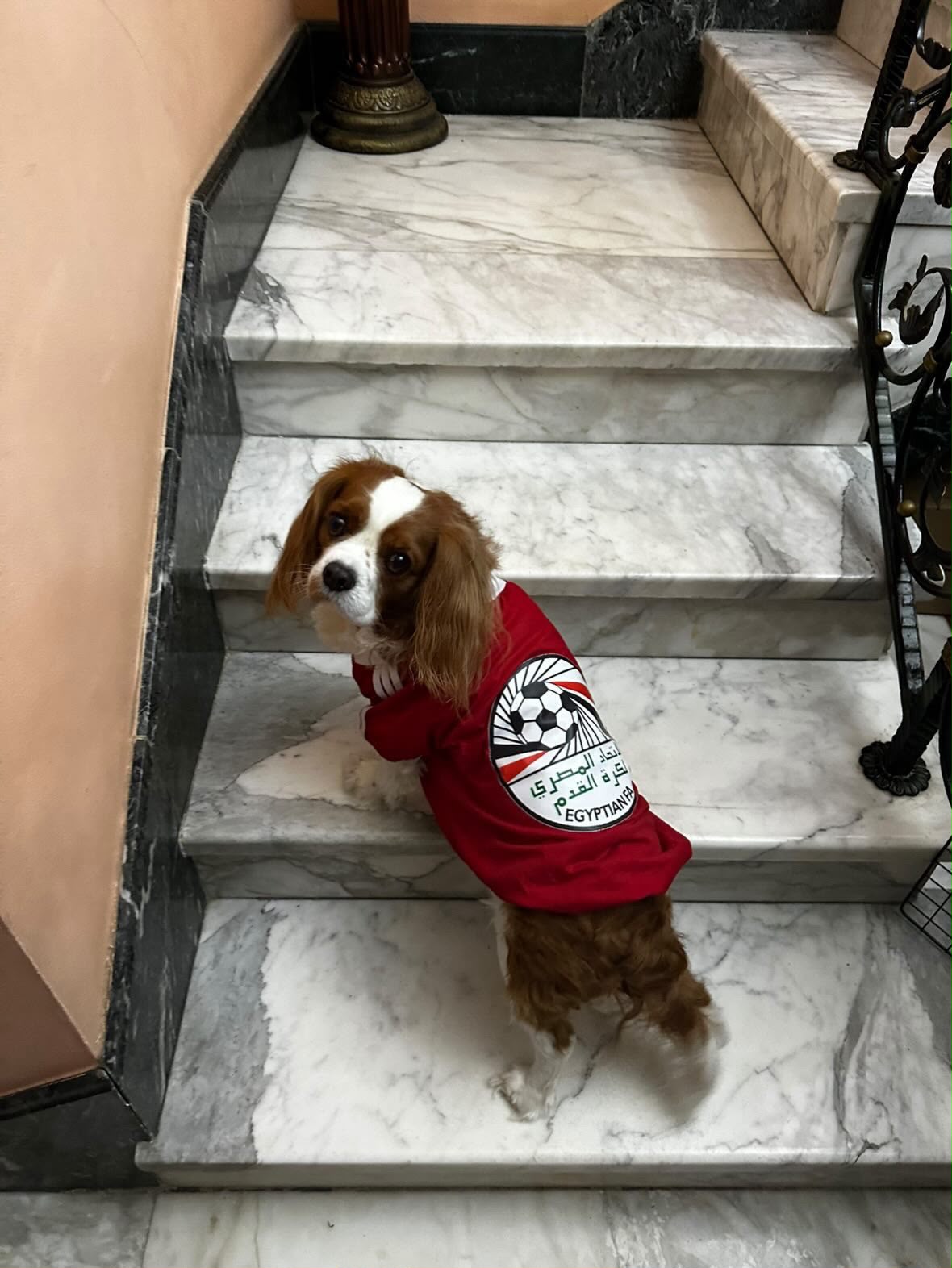 Egypt Sporty T-shirt
