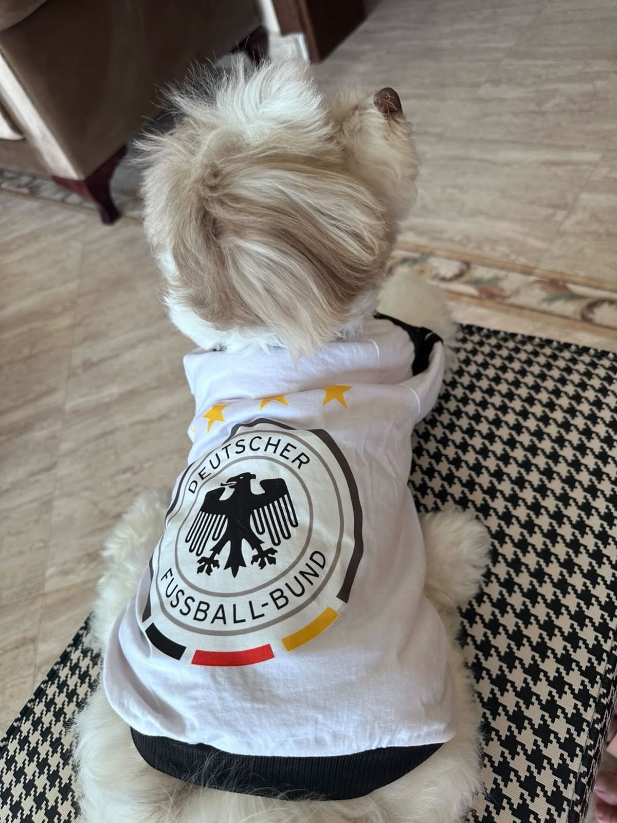 Germany Sporty T-shirt