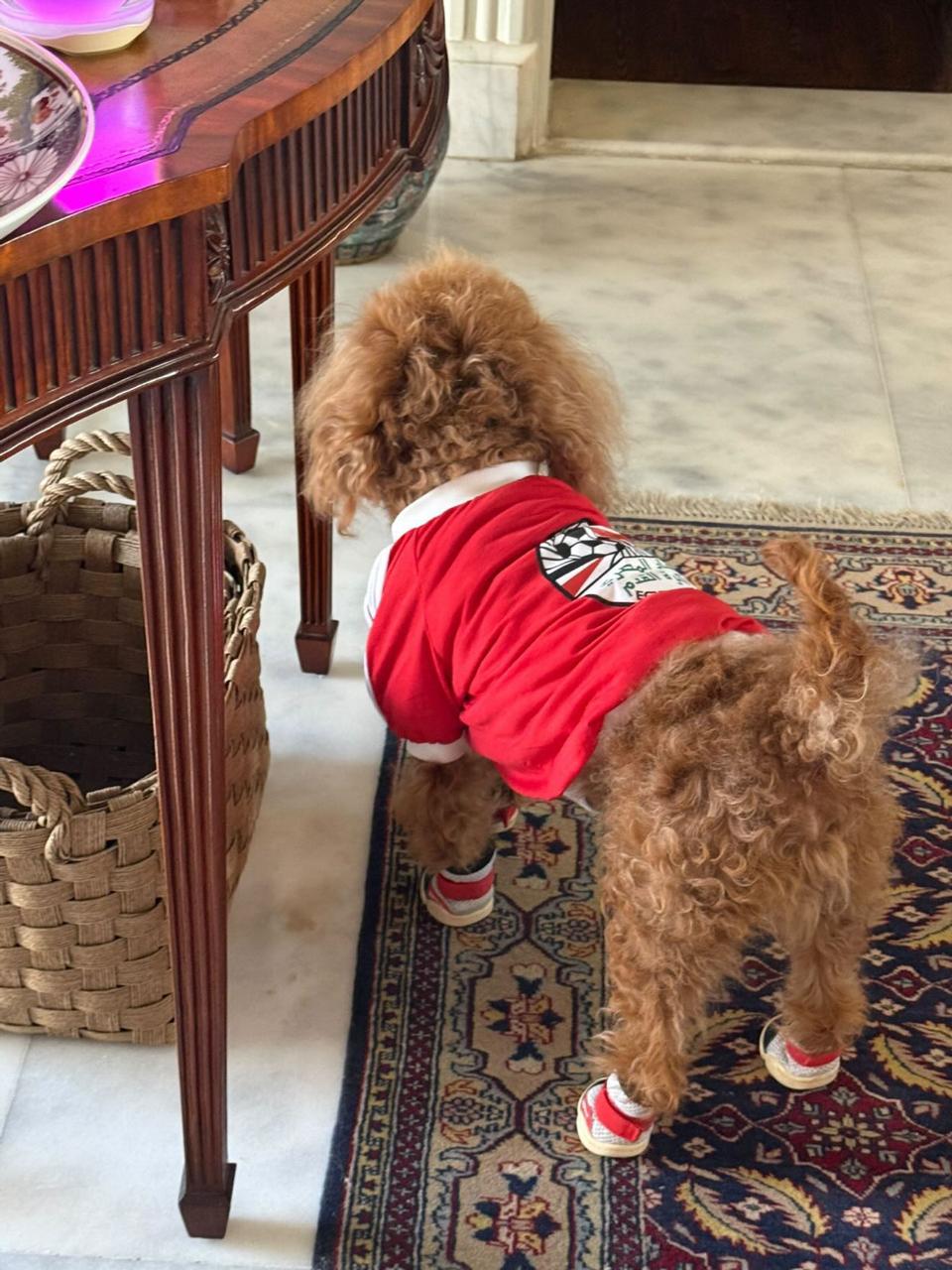 Egypt Sporty T-shirt