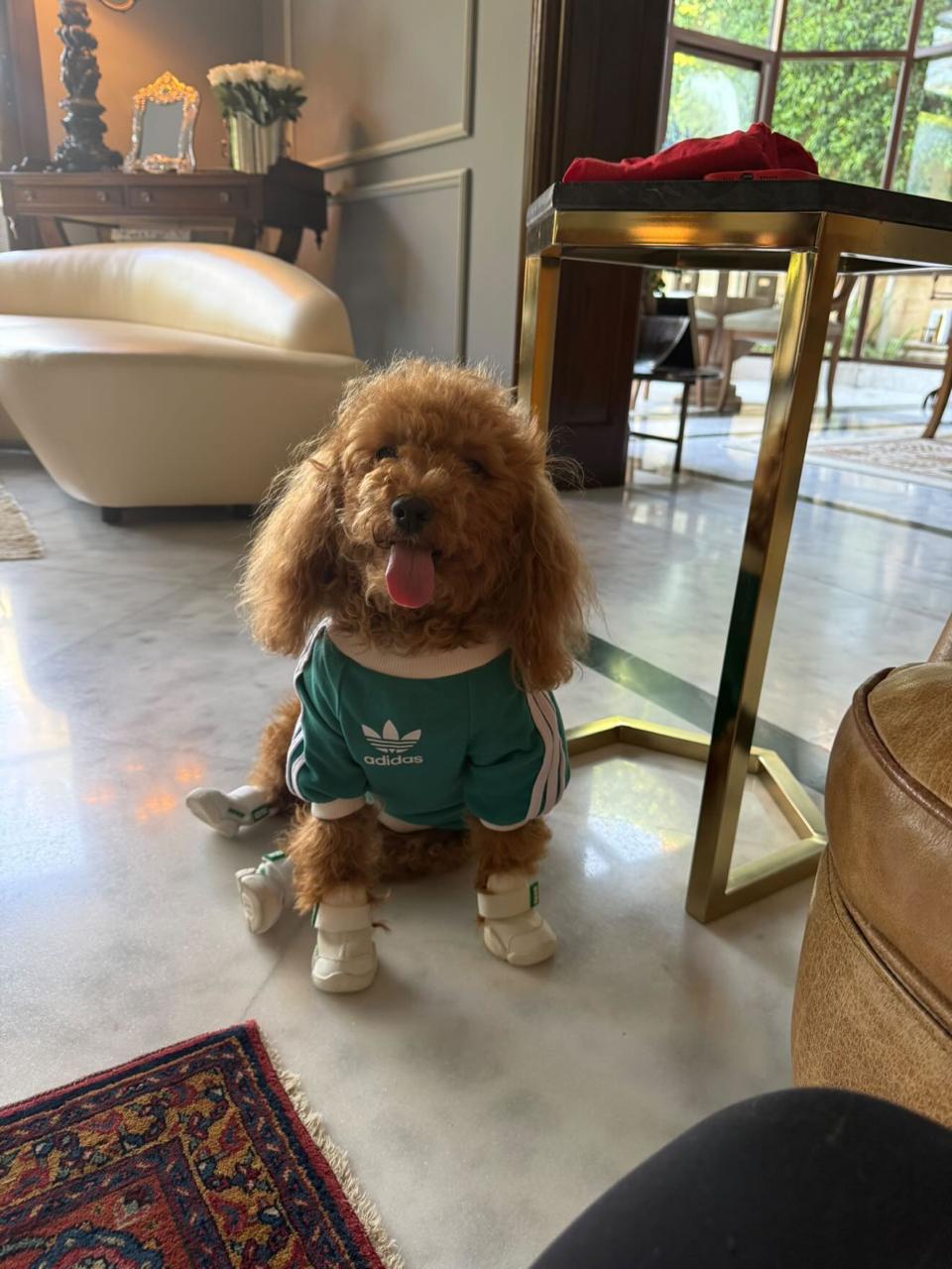 Egypt Sporty T-shirt