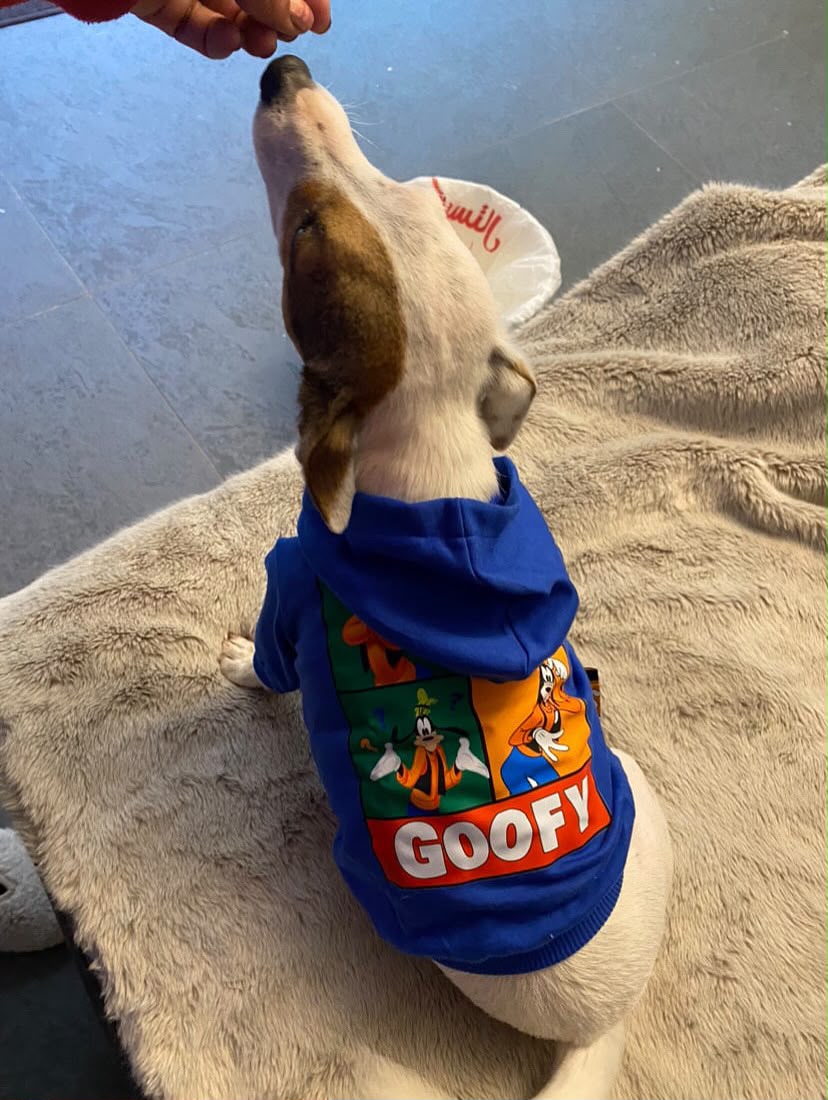 Goofy