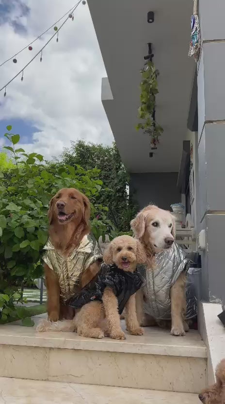 Waterproof Puff Vest